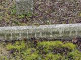 image of grave number 797259